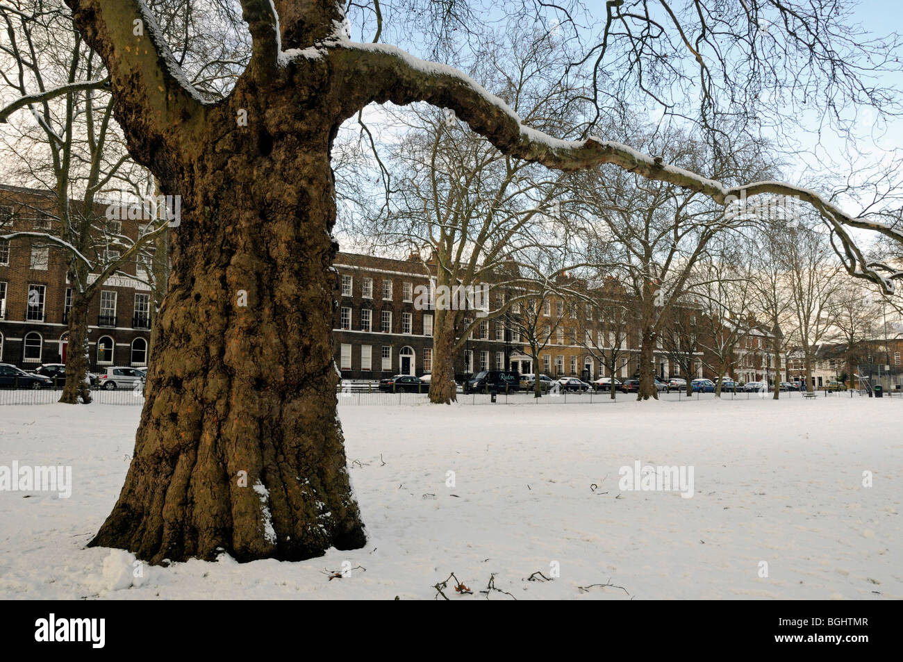 Londoner Platane Platanus X hispanica Highbury Felder unter Schnee London England UK Stockfoto