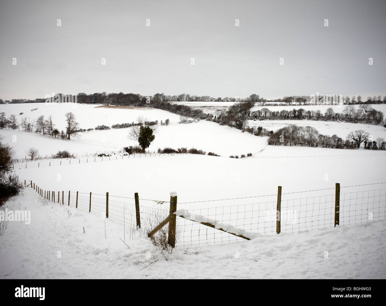 Schneelandschaft, North Downs. Stockfoto
