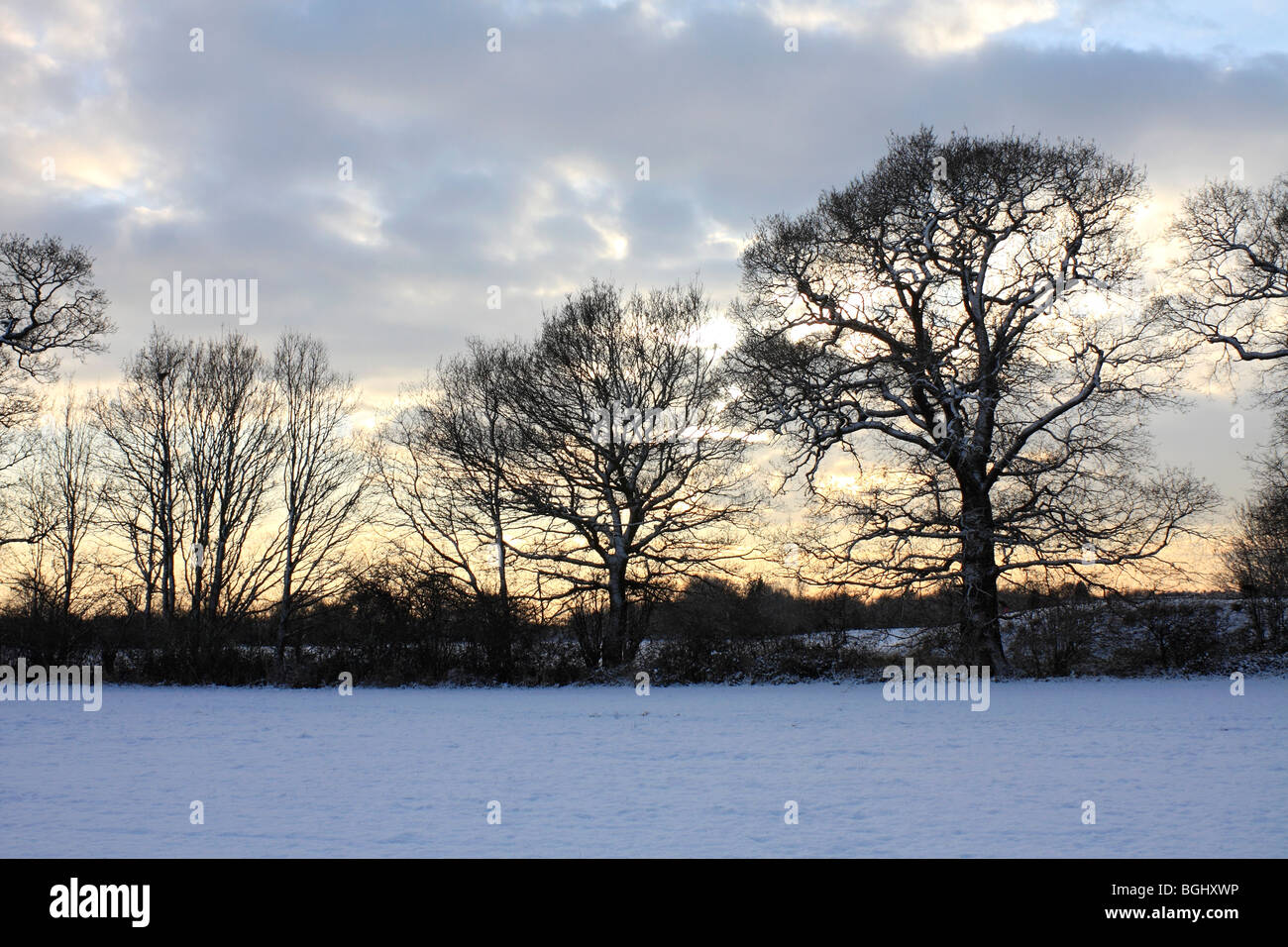 Winter Schnee in Tolworth Court Farm Nature Reserve, Kingston, Surrey, England, UK. Januar 2010 Stockfoto