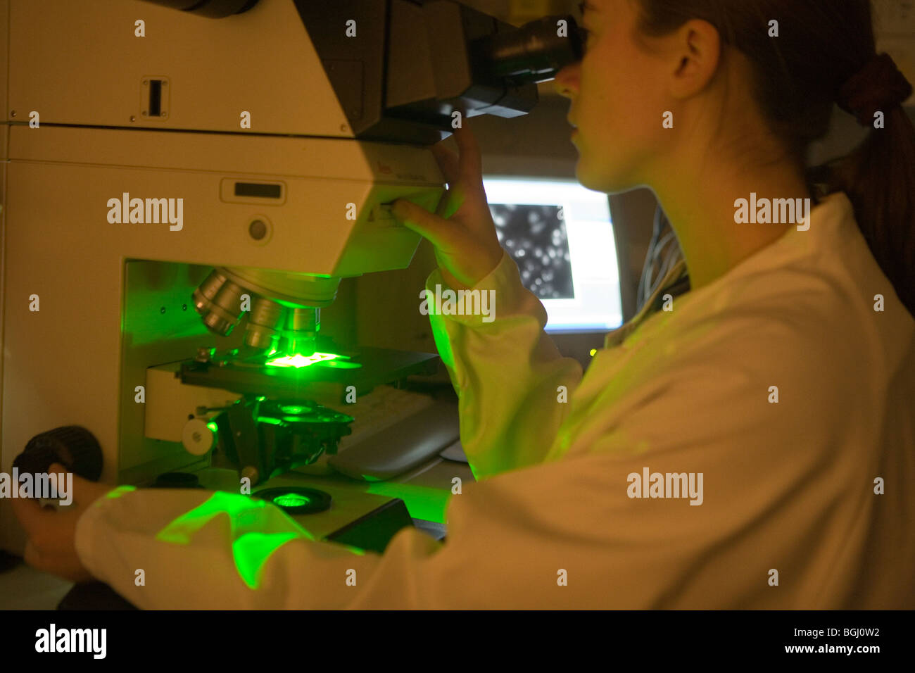 Krebs-Forscher-Hospital St. Louis, Paris, eine öffentliche Hilfen Krankenhaus Foto von Owen Franken Stockfoto