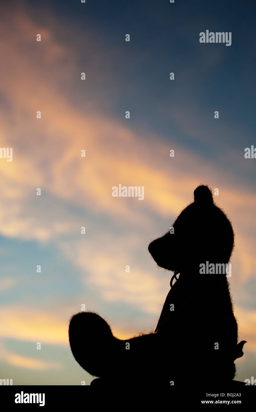 Teddy Bear Silhouette bei Sonnenaufgang Stockfoto