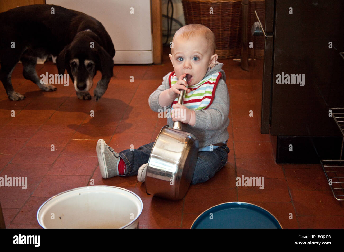 Baby Boy (acht Monate alt) spielt mit Töpfen und Pfannen auf dem Küchenboden. Stockfoto