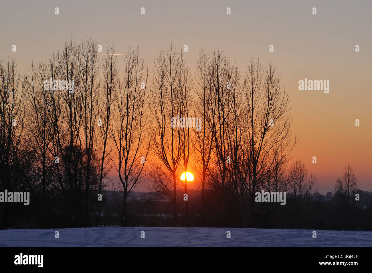 Sonnenuntergang über Bäume im Winter, Warwick, Warwickshire, England, UK Stockfoto