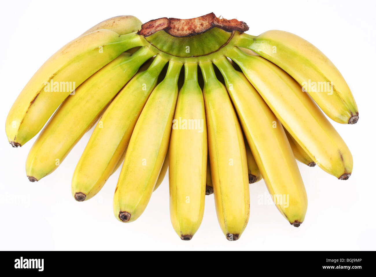 Bündel Bananen isoliert auf weißem Hintergrund Stockfoto