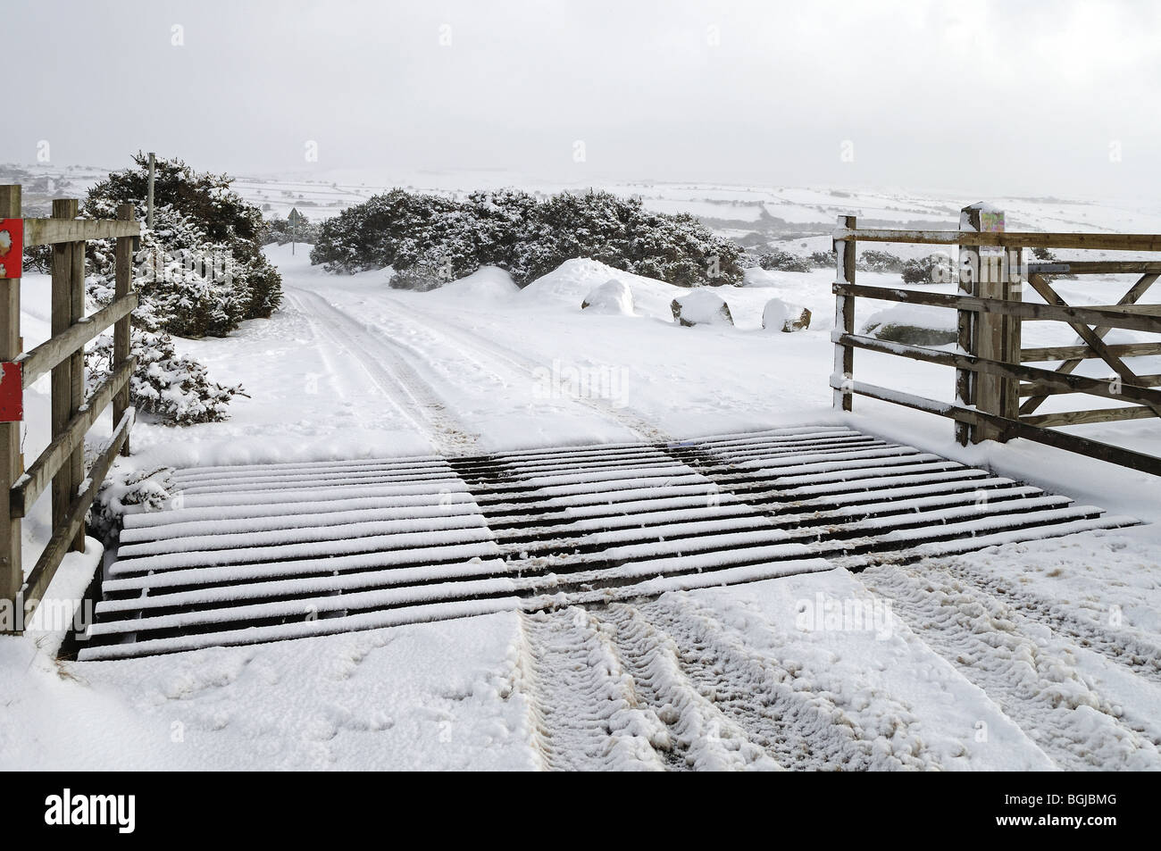 Schnee bedeckte Rinder Netz auf Bodmin moor, Cornwall, uk Stockfoto