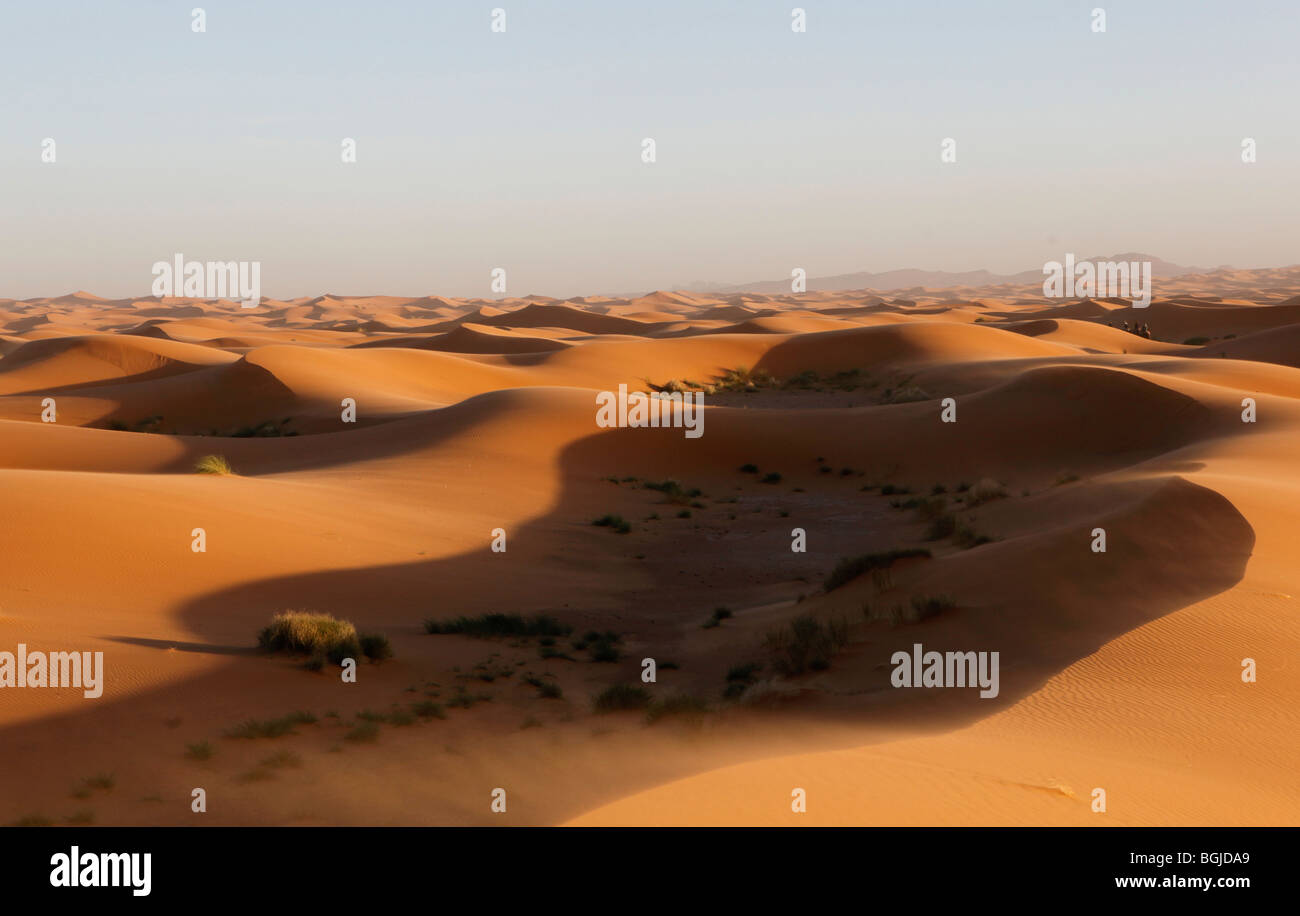 Landschaft der Sahara in Marokko in Nordafrika Stockfoto