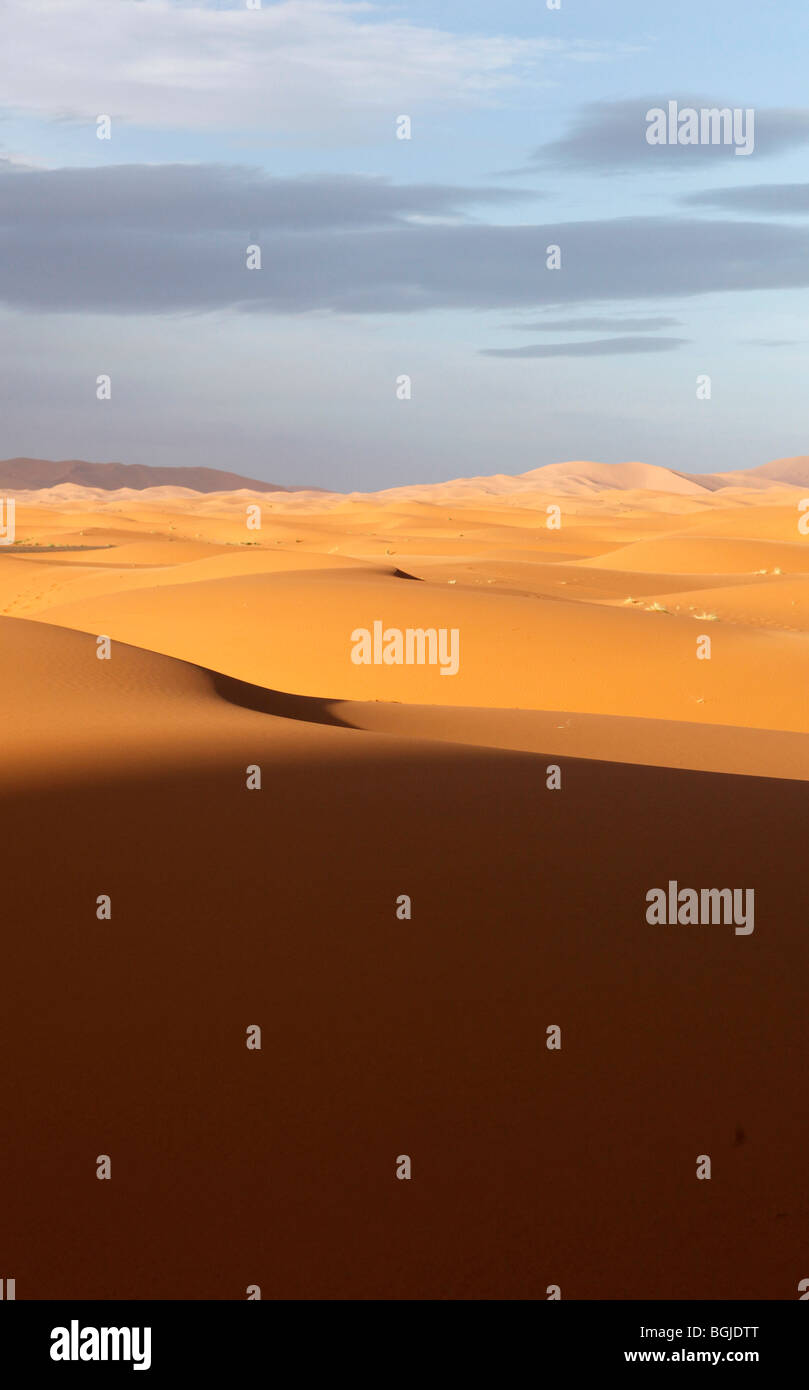 Landschaft der Sahara in Marokko in Nordafrika Stockfoto