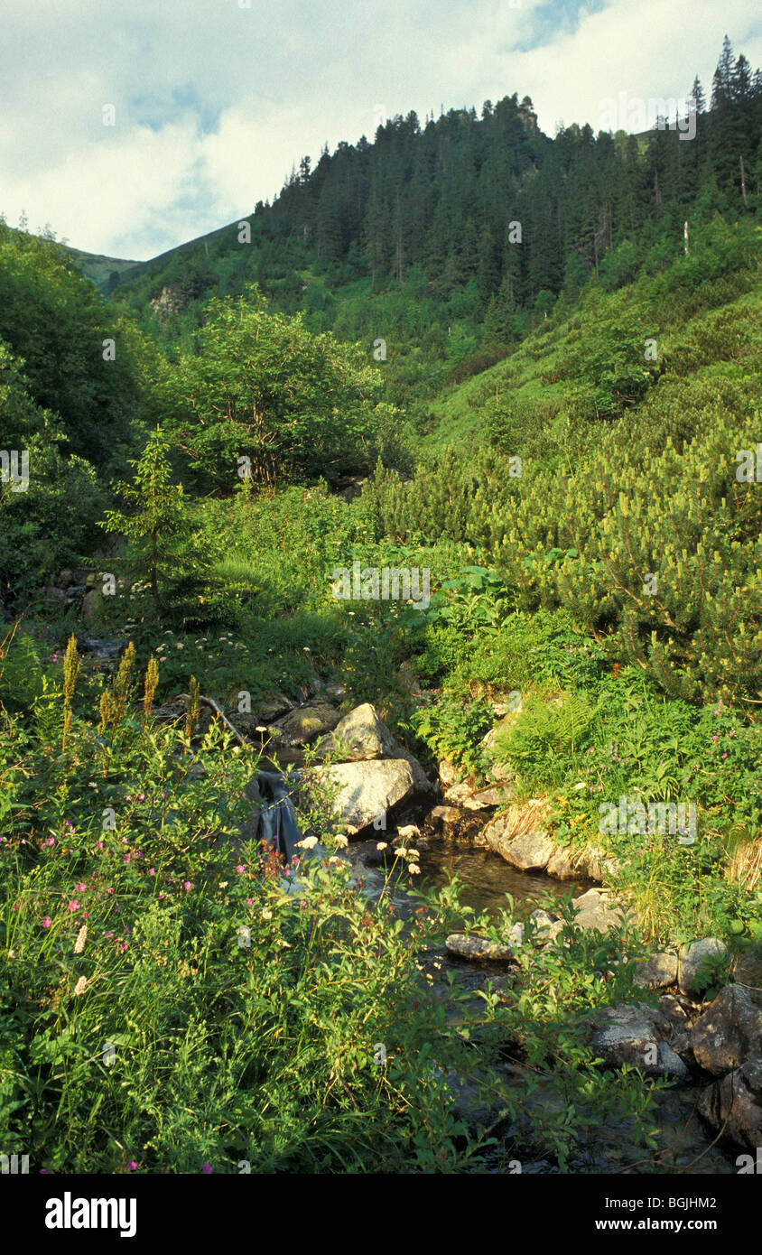 Ein abgelegenen Teil des westlichen hohen Tatra in der Slowakei geschlossen, um den Zugang der Öffentlichkeit Stockfoto