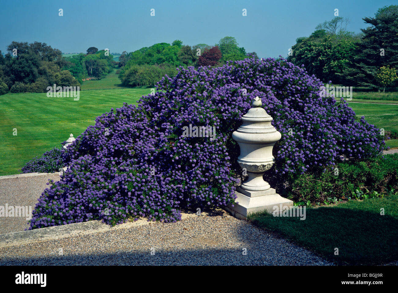 Die Gärten von Antony House Stockfoto
