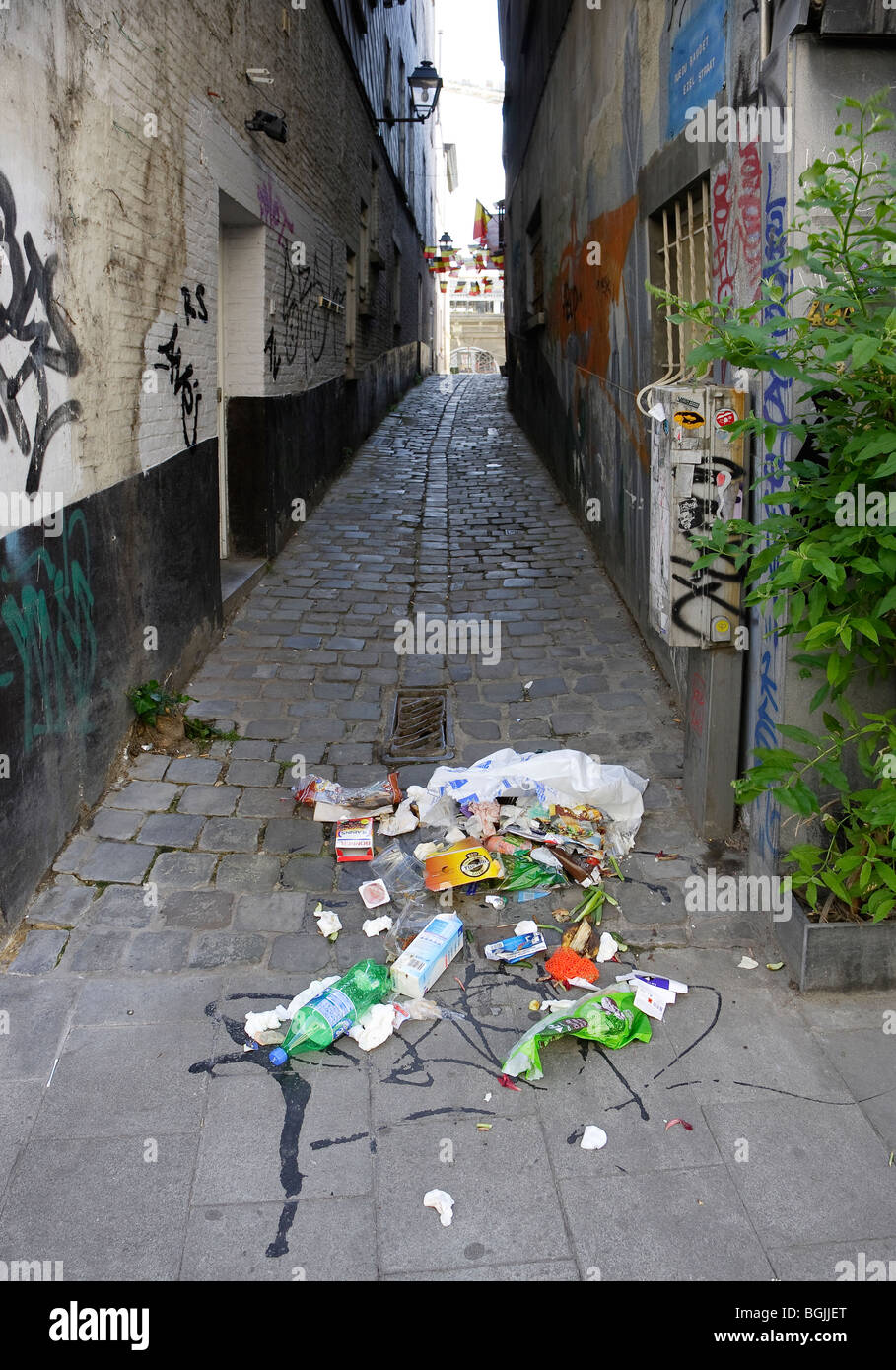 Wurf in Gasse Stockfoto