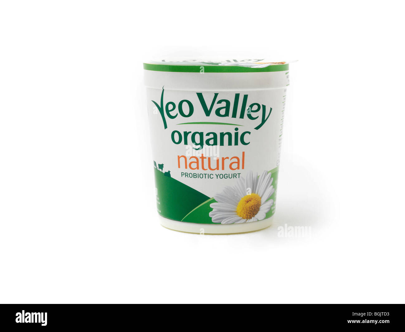 Einen Topf mit natürlichen probiotischen Joghurt Stockfoto