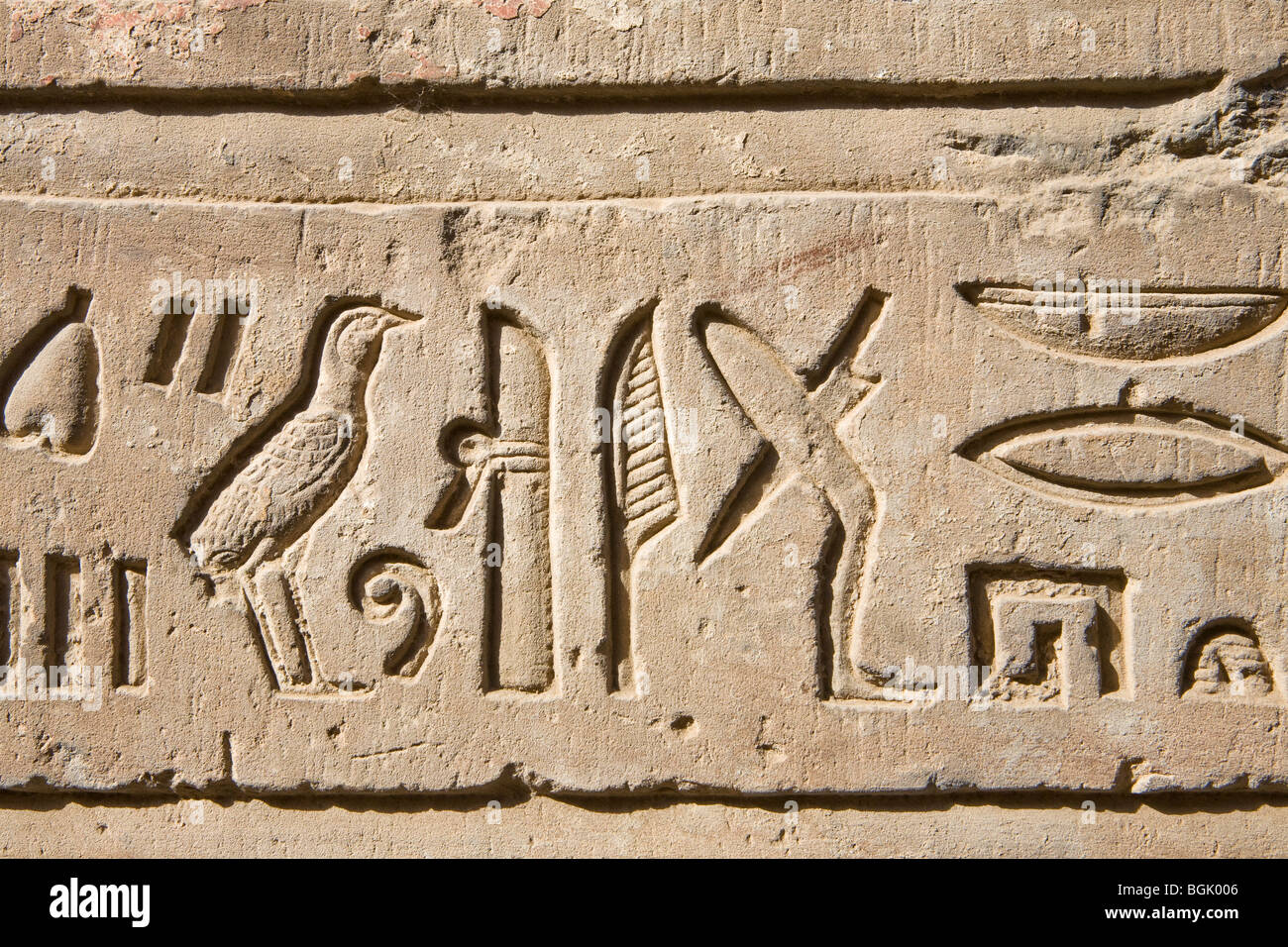 Hieroglyphen an den Tempel von Haroeris und Sobek in Kom Ombo im Niltal, Oberägypten Stockfoto