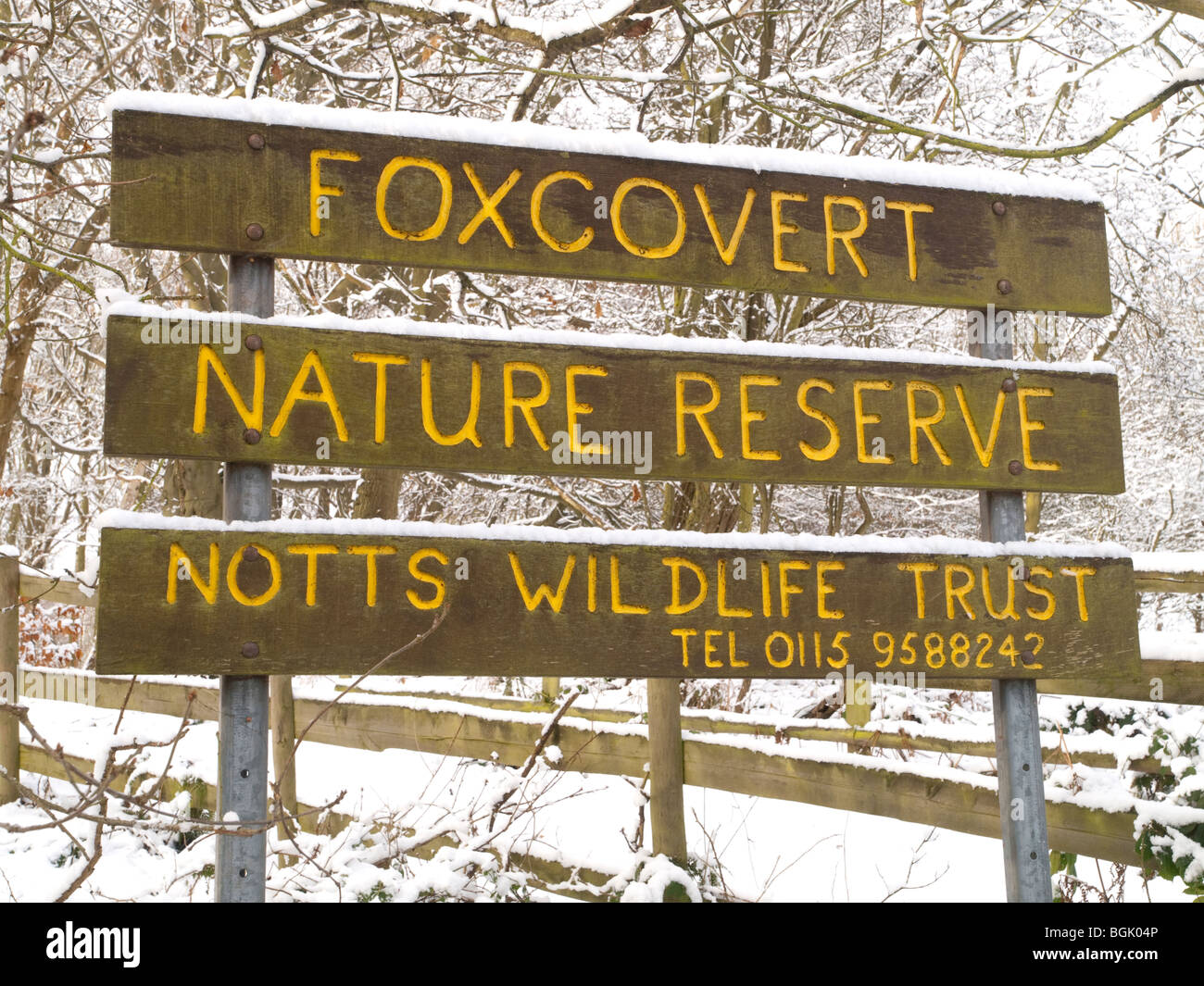 Schnee im Fox Covert Naturreservat in der Nähe von Calverton Nottinghamshire, England UK Stockfoto