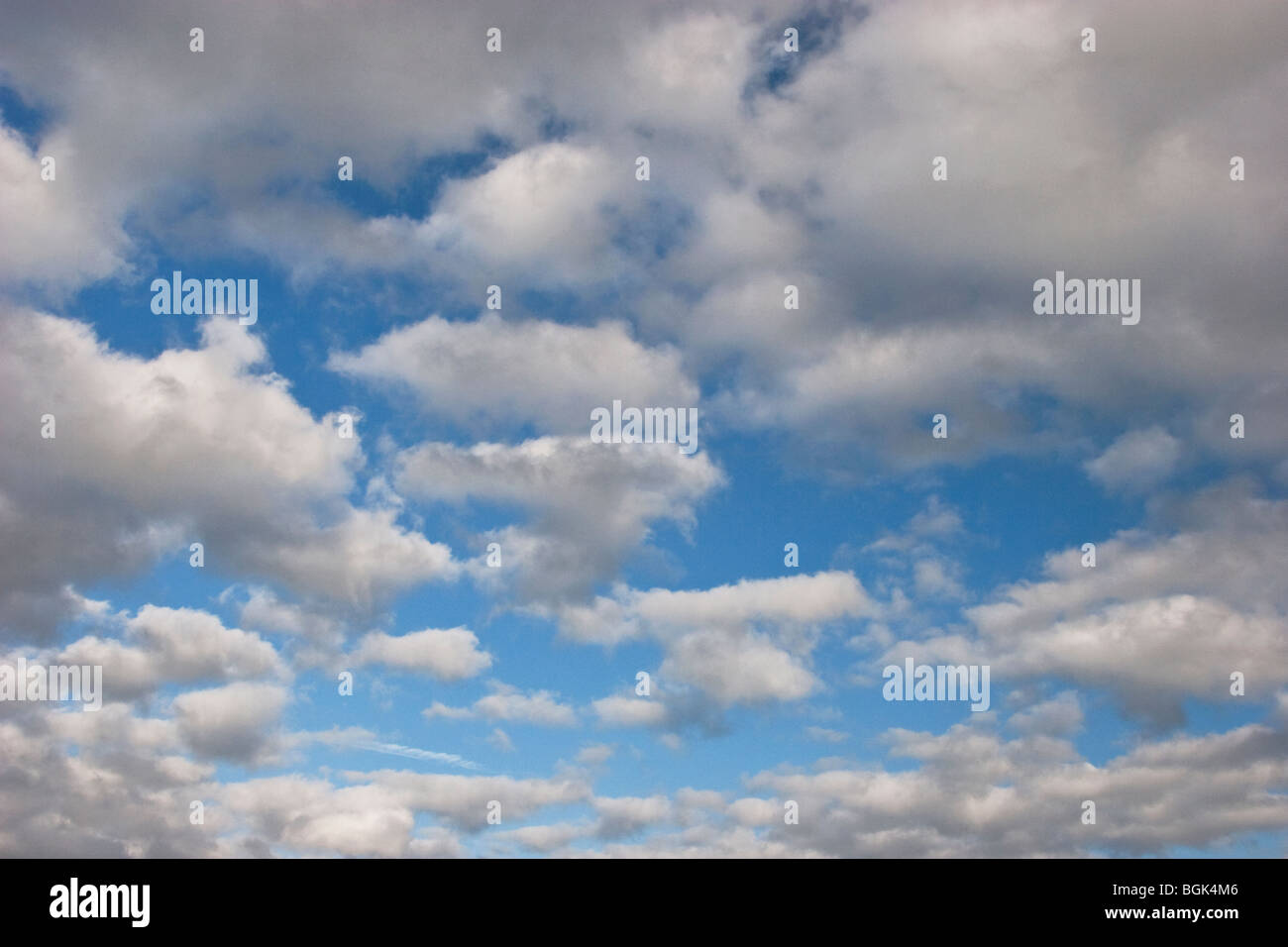 Cumulus-Wolken am blauen Himmel, England Stockfoto