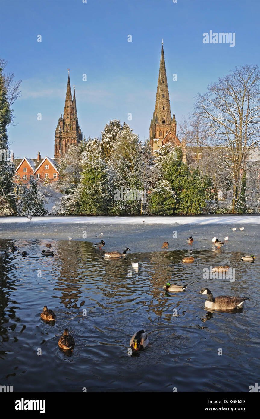 Drei Türme Kathedrale eingefroren Münster Pool Mallard Enten schwarz geleitet Möwen Kanadagänse auf verschneiten Winter Tag 2010 Lichfield UK Stockfoto