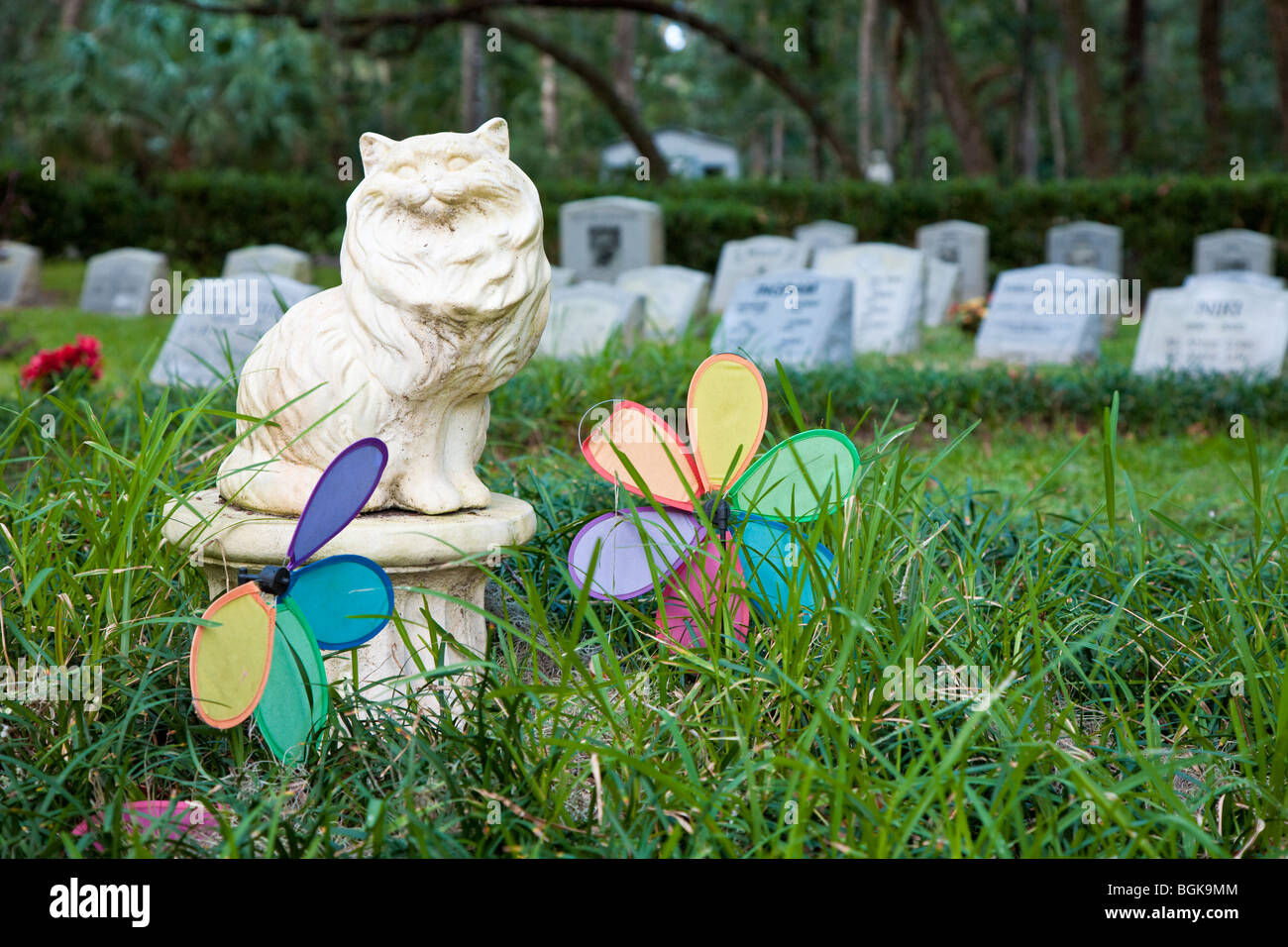 Micanopy FL - Sept 2008 - Grabstein Grab Marker im Tierfriedhof Micanopy, Florida, USA Stockfoto