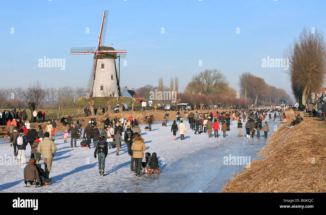 Eisläufer und Spaziergänger auf dem gefrorenen Damme-Kanal in der Nähe der Windmühle Schellemolen in Damme im Winter, West-Flandern, Belgien Stockfoto