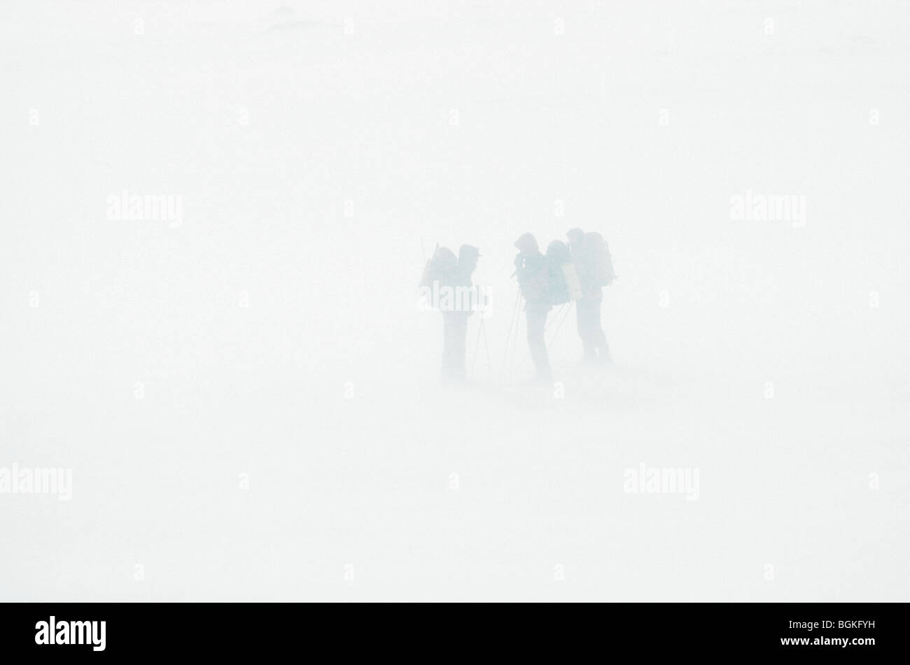 Wanderer auf Schneeschuhen / Ski in einem Schneesturm, Dovrefjell Nationalpark, Norwegen Stockfoto