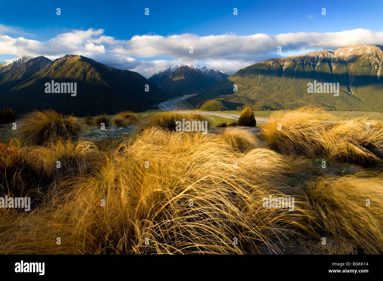 Arthurs Pass Nationalpark, Südinsel, Neuseeland Stockfoto