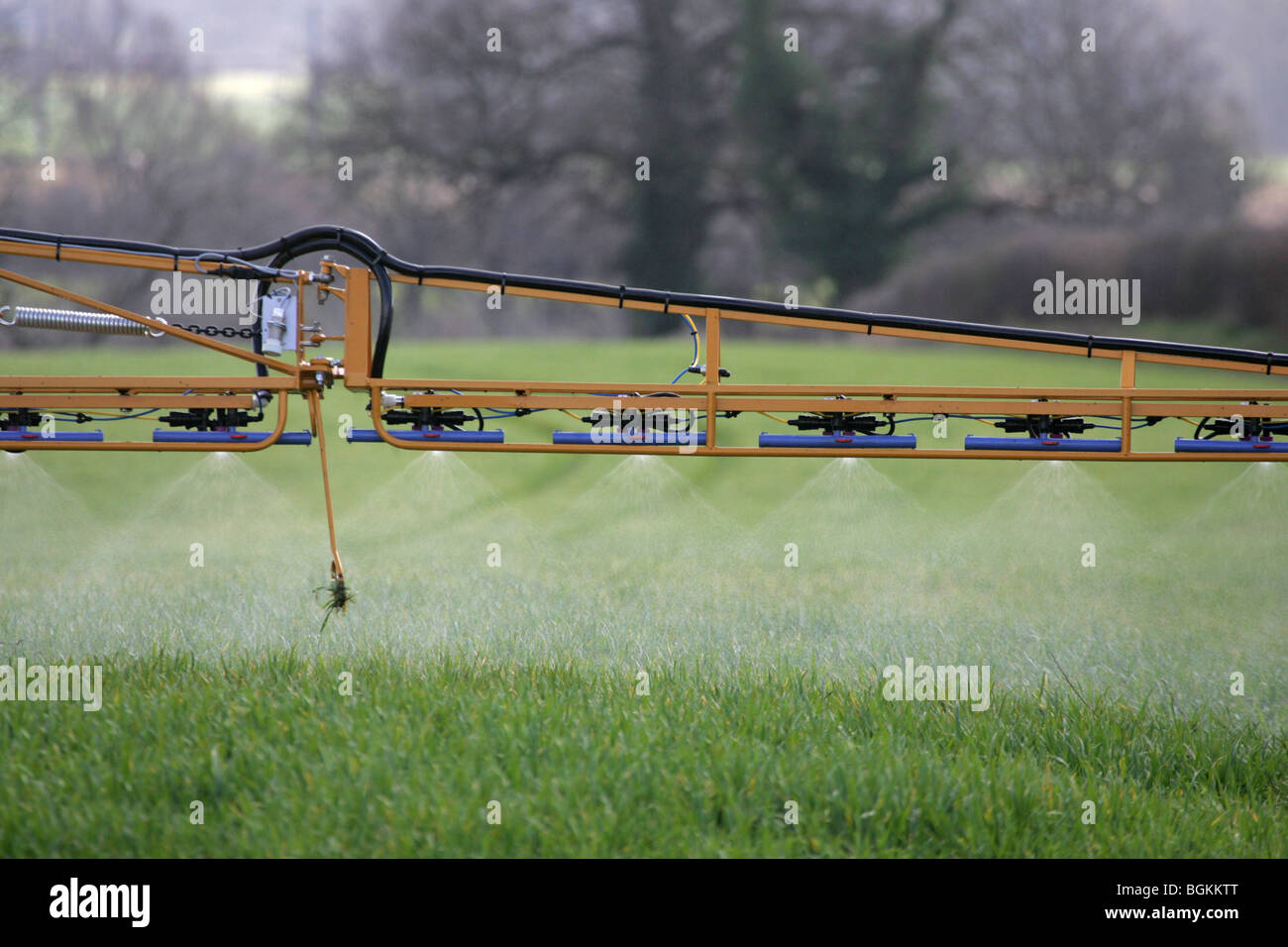 Crop Sprayer besprühen Chemikalien auf Weizenpflanzen Stockfoto