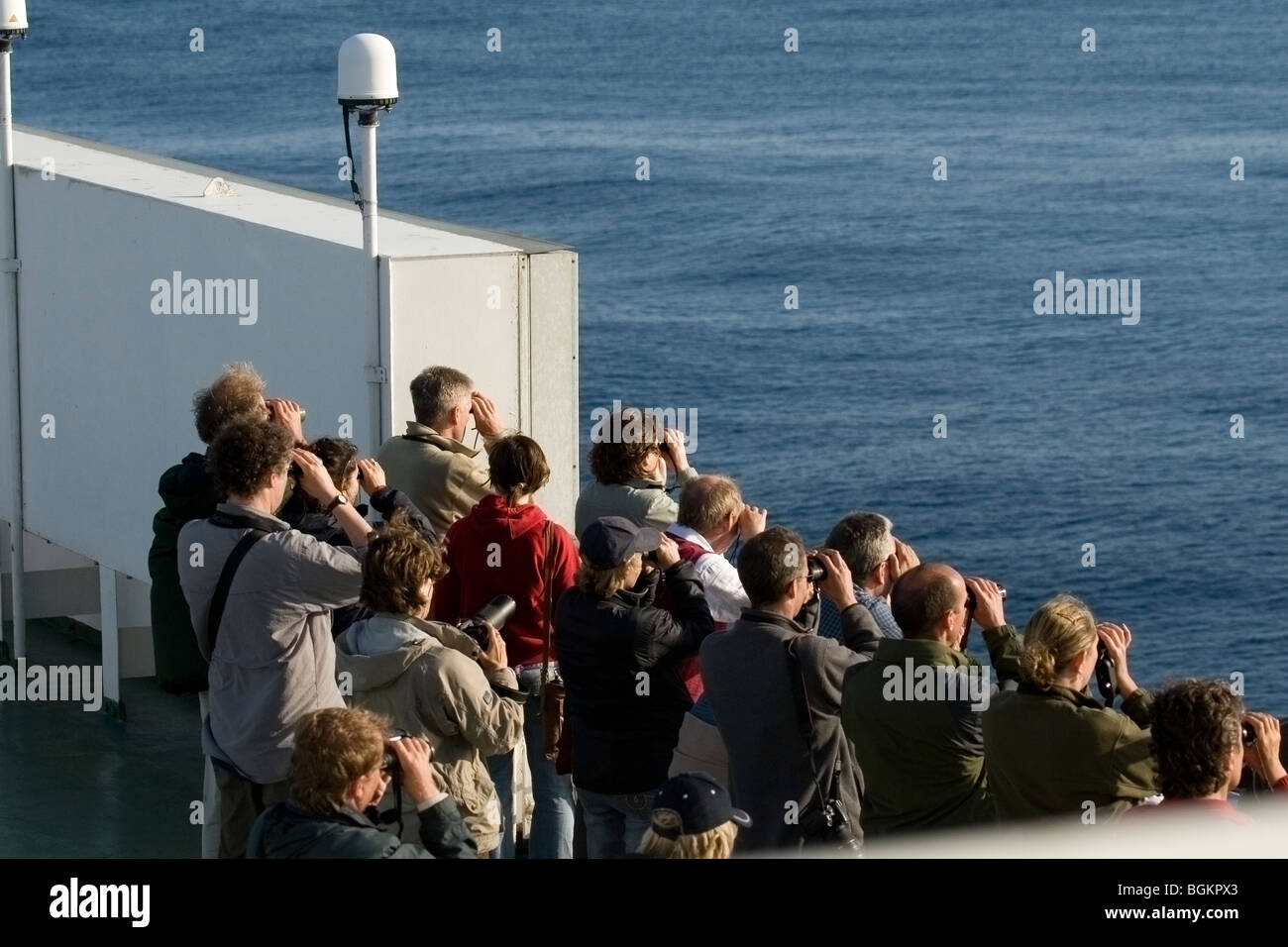Gruppe von Menschen, die Whale Watching, von einem Schiff Stockfoto
