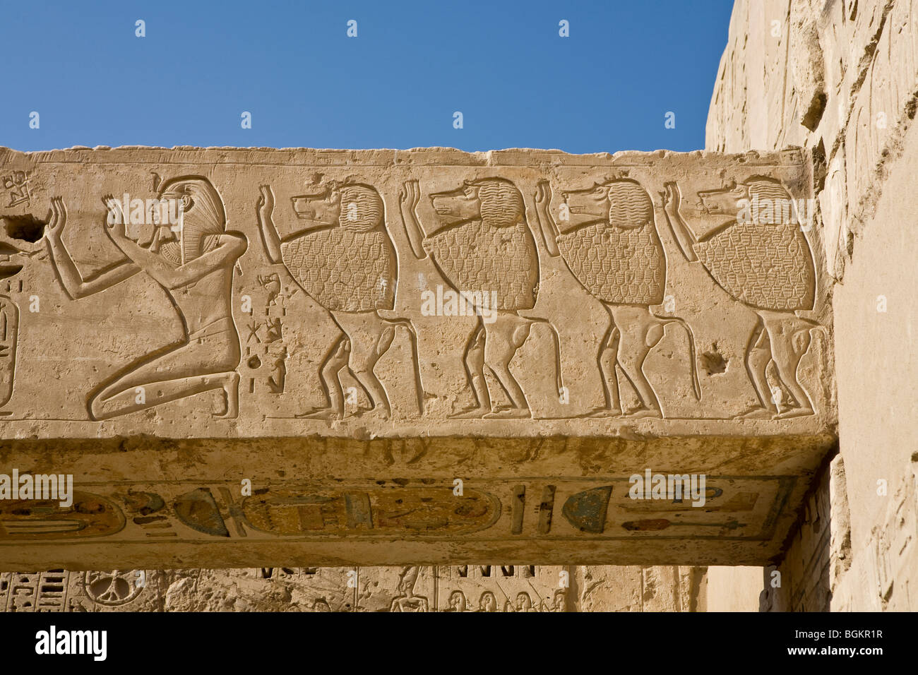 Reliefs zeigen Linien der Paviane in einer Kammer in Medinet Habu, Leichenhalle Tempel von Ramses III, Westufer des Nil, Luxor, Ägypten Stockfoto
