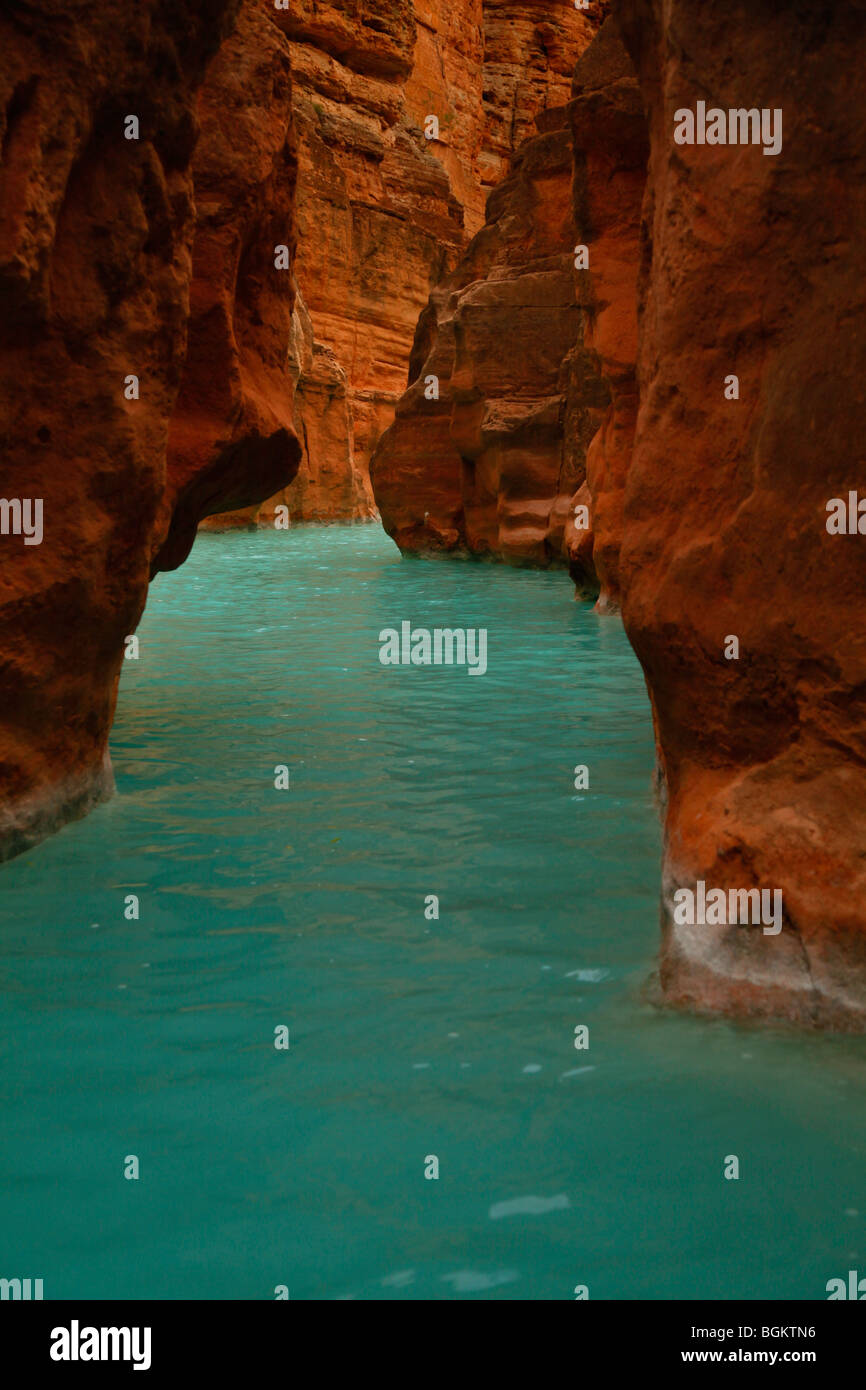 Abfluss von Havasu Creek in Colorado River im Grand Canyon, Arizona Stockfoto