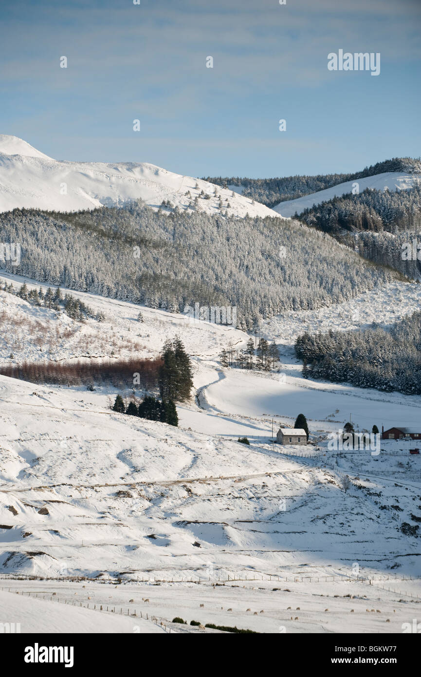 Mitte Wales Landschaft im Schnee, in der Nähe von Plynlimon Hügeln, 1. Januar 2010 Stockfoto