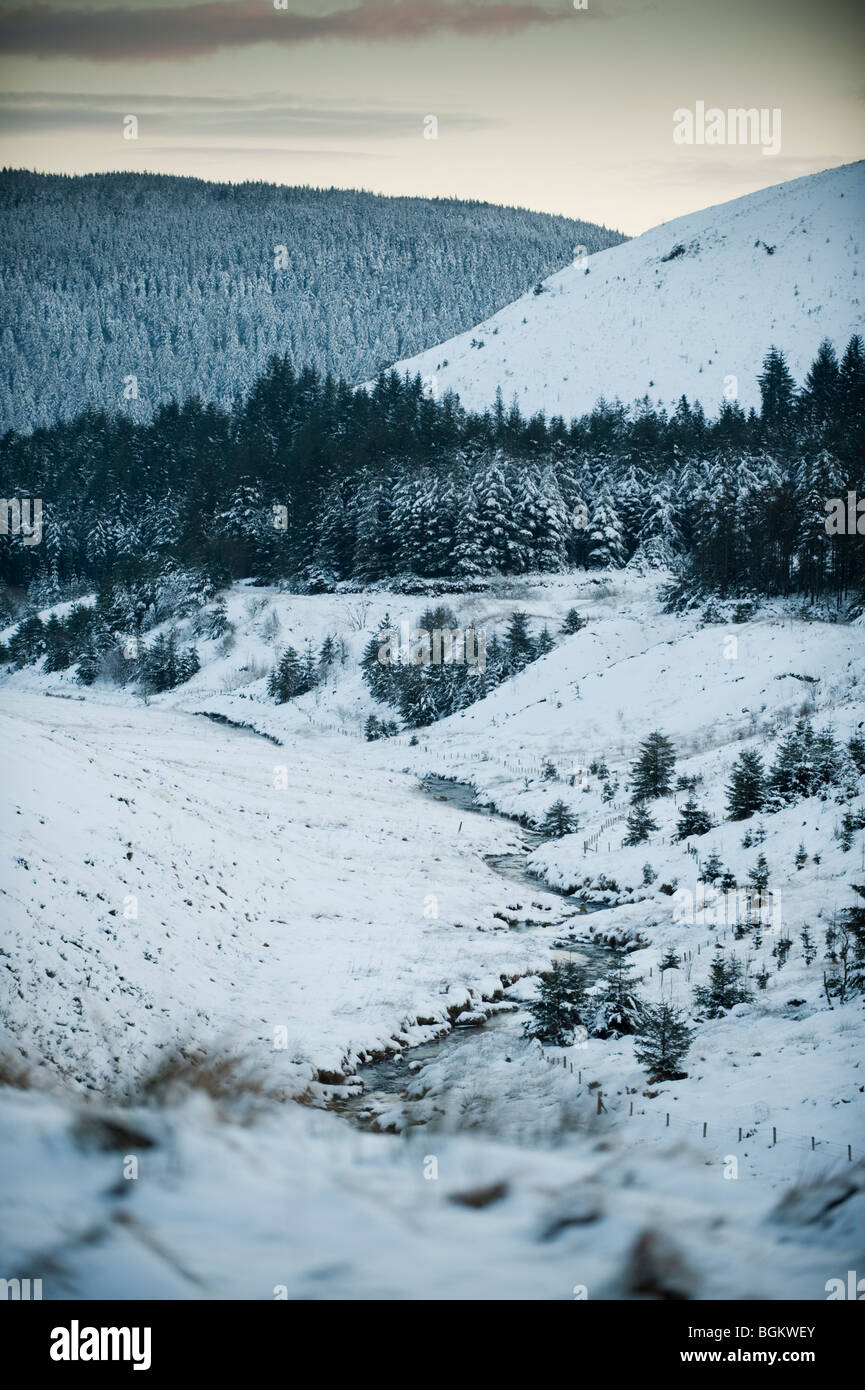 Oberen River Wye Valley im Schnee, 1. Januar 2010 Stockfoto
