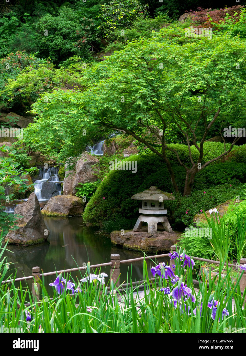 Iris und Gehweg. Portland japanische Gärten. Oregon Stockfoto