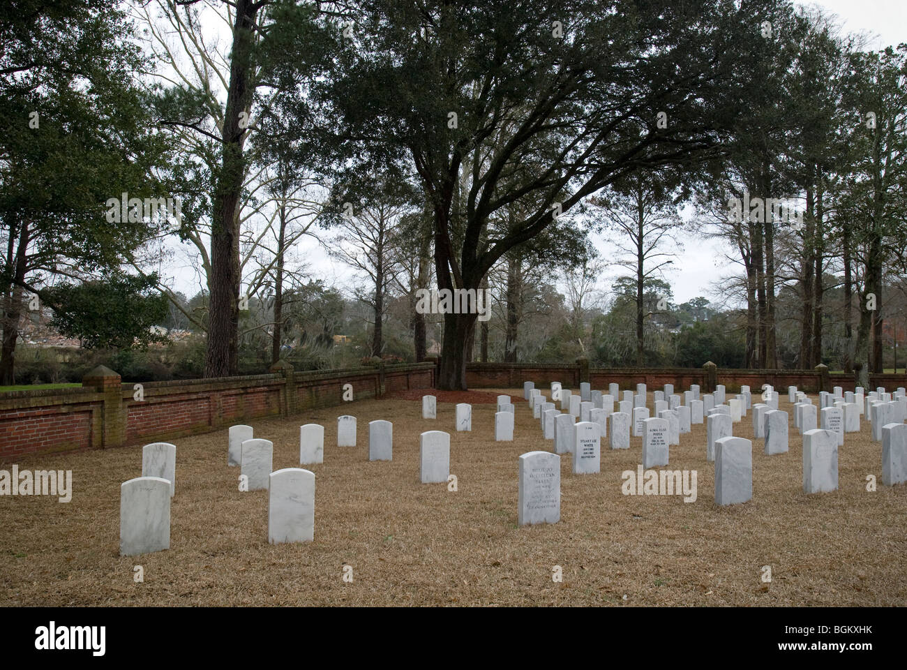 Grabsteine auf dem Nationalfriedhof in Wilmington. Stockfoto