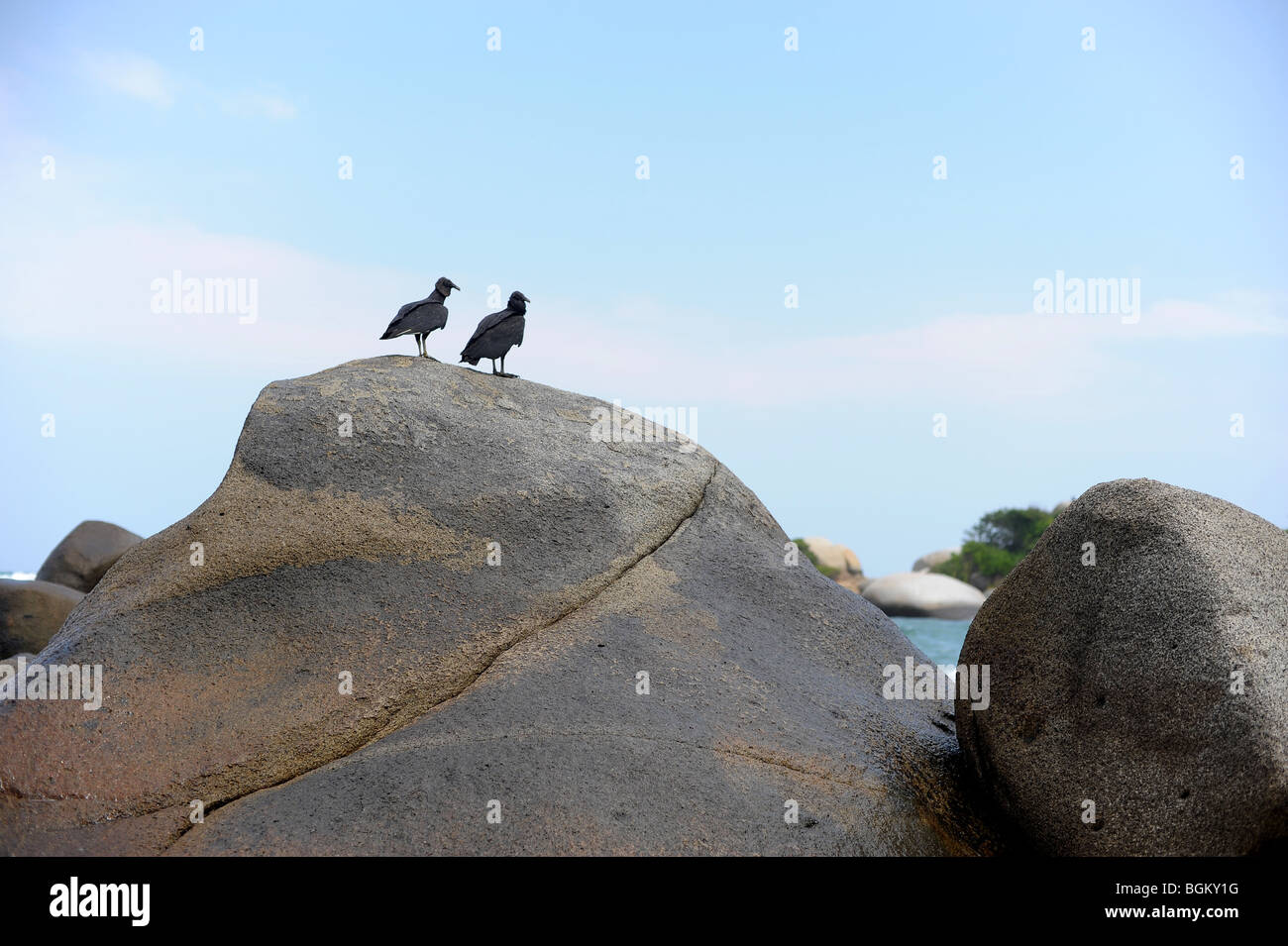 Riesige Felsen mit hocken Vögel entlang der Karibikküste von Santa Marta, Kolumbien. Stockfoto