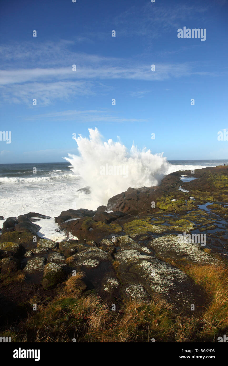 Welle gegen Felsen an der Küste von Oregon plantschen Stockfoto