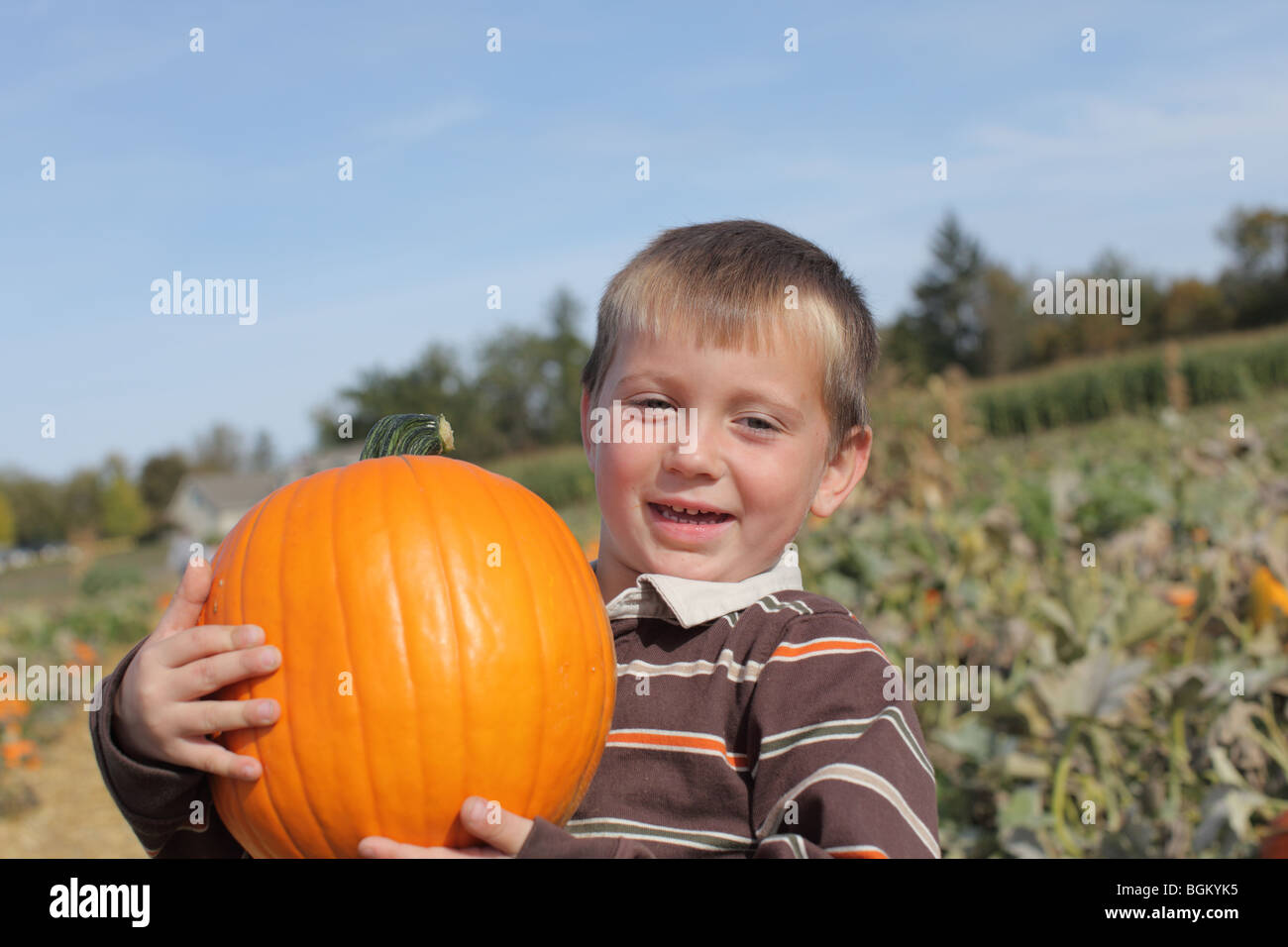 Kleiner Junge hält Kürbis im Kürbisfeld Stockfoto