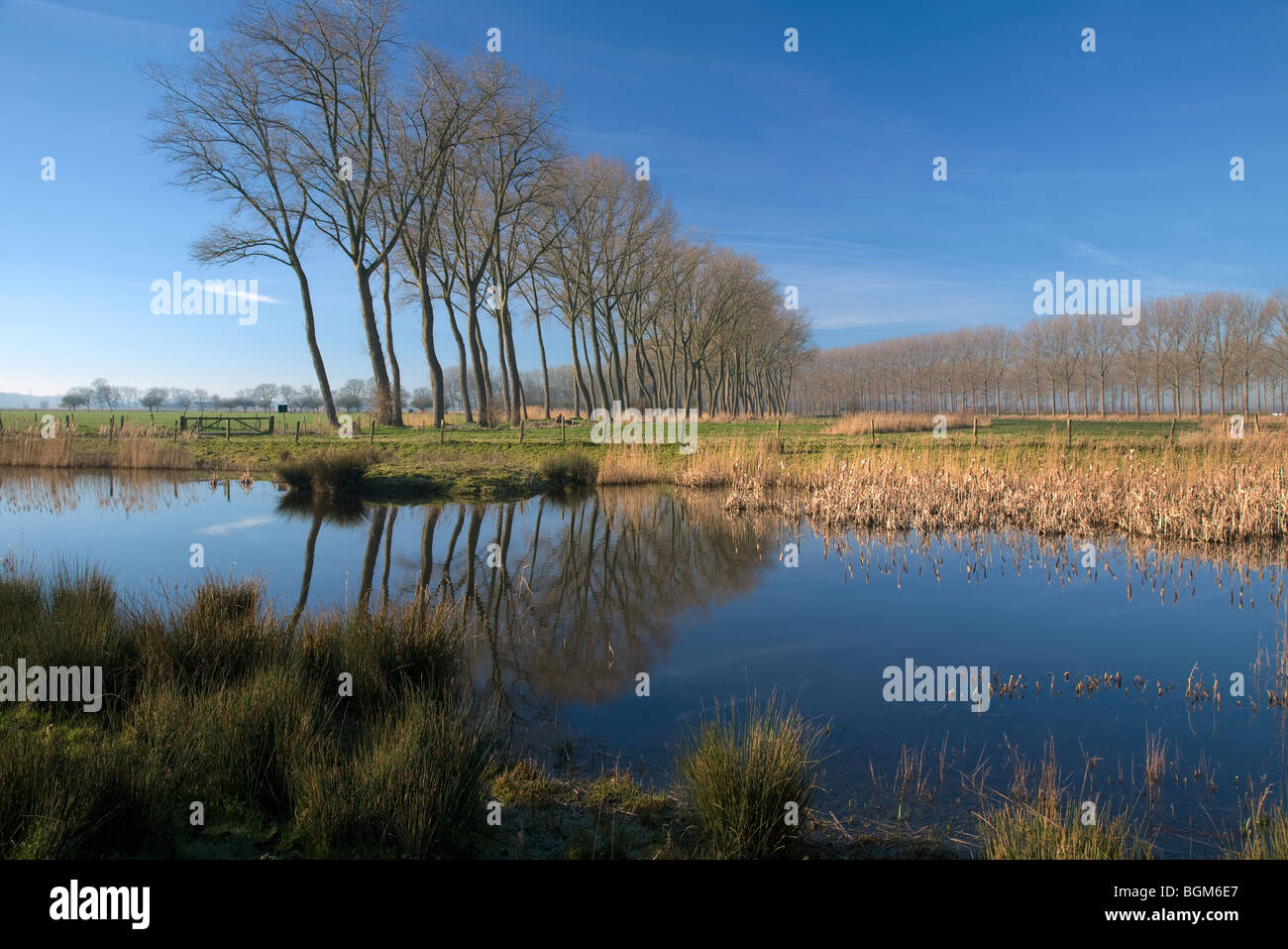 Kanal teich Fotos und Bildmaterial in hoher Auflösung Alamy