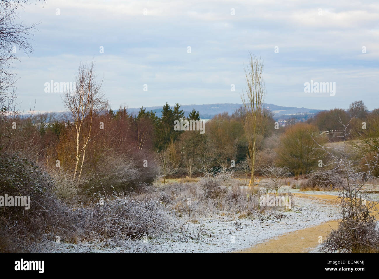 Frostigen morgen in die Landschaft während der englischen Winter. Sussex, UK Stockfoto
