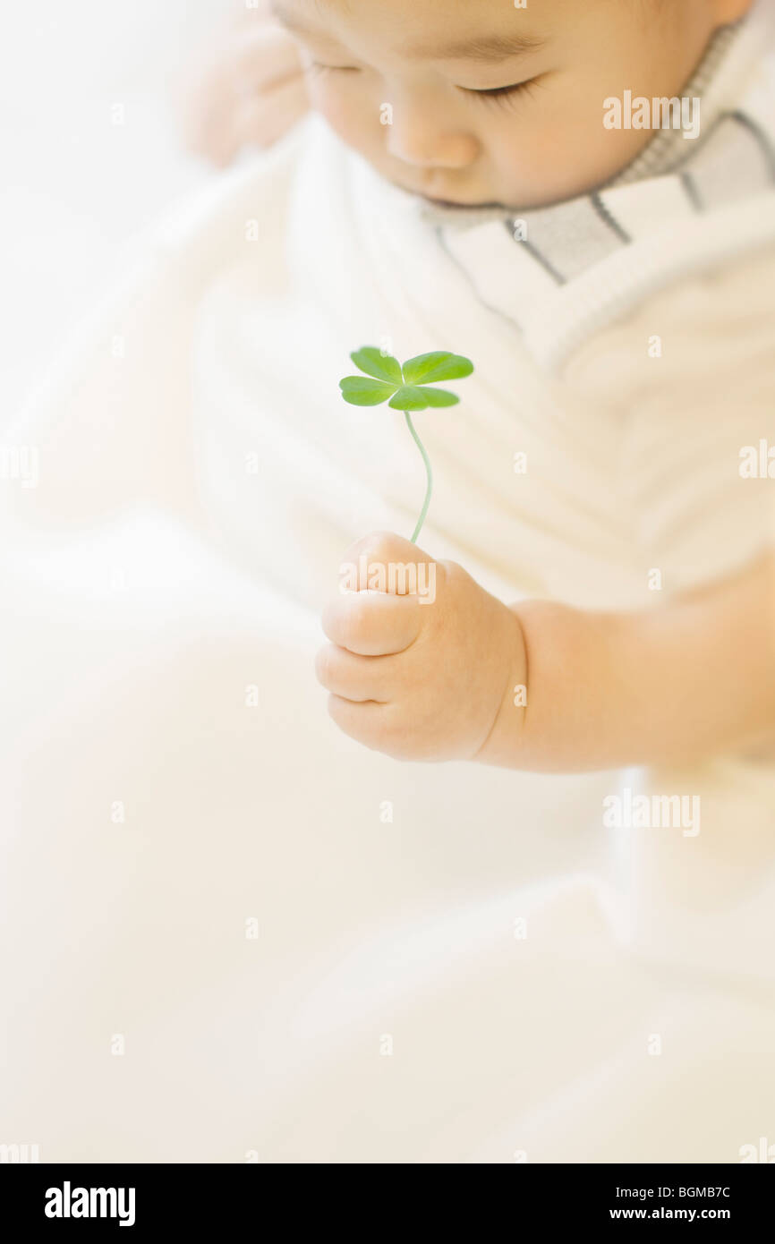 Baby holding Four Leaf Clover Stockfoto