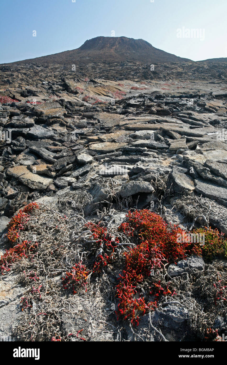 Die vulkanische Lava Felsformation Sombrero Chino / Chinaman Hut auf der Insel Santiago / San Salvador-Insel, Galápagos-Inseln Stockfoto Die vulkanische Lava Felsformation Sombrero Chino / Chinaman Hut auf der Insel Santiago / San Salvador-Insel, Galápagos-Inseln Stockfoto