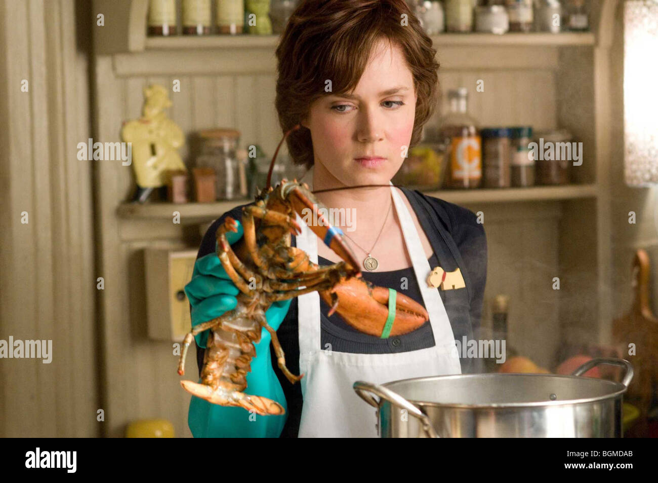 Julie & Julia Year: 2009 Regie: Nora Ephron Amy Adams Stockfoto