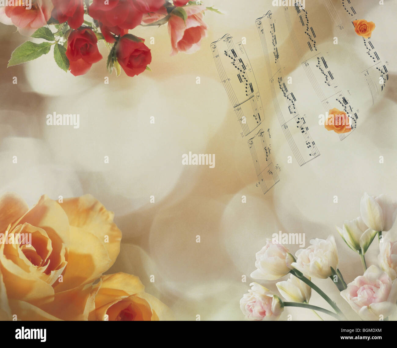 Blumen und eine musikalische Kerbe gegen einen unscharfen Hintergrund Stockfoto