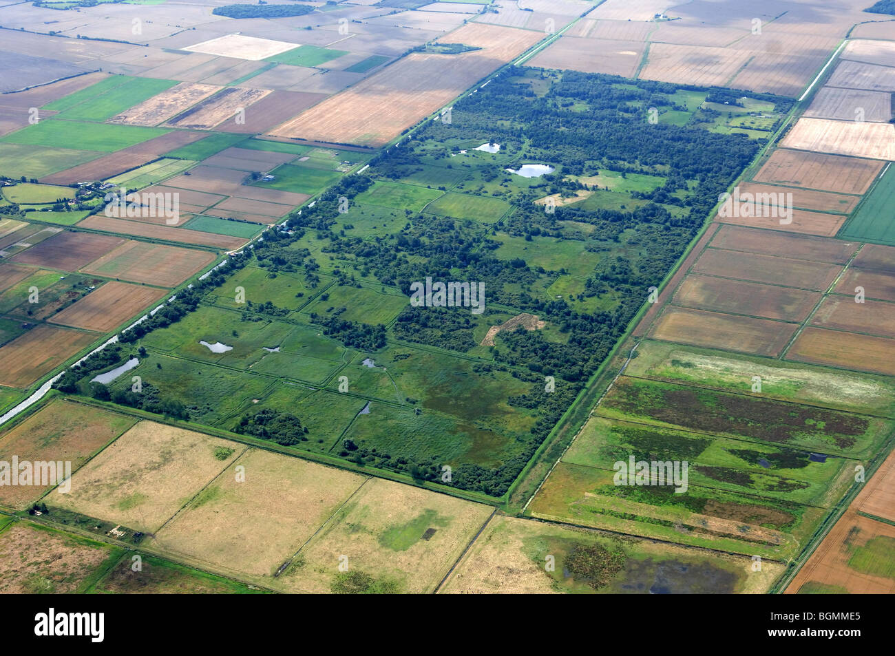 Luftbild Woodwalton Fen der großen Fen Projekt Stockfoto