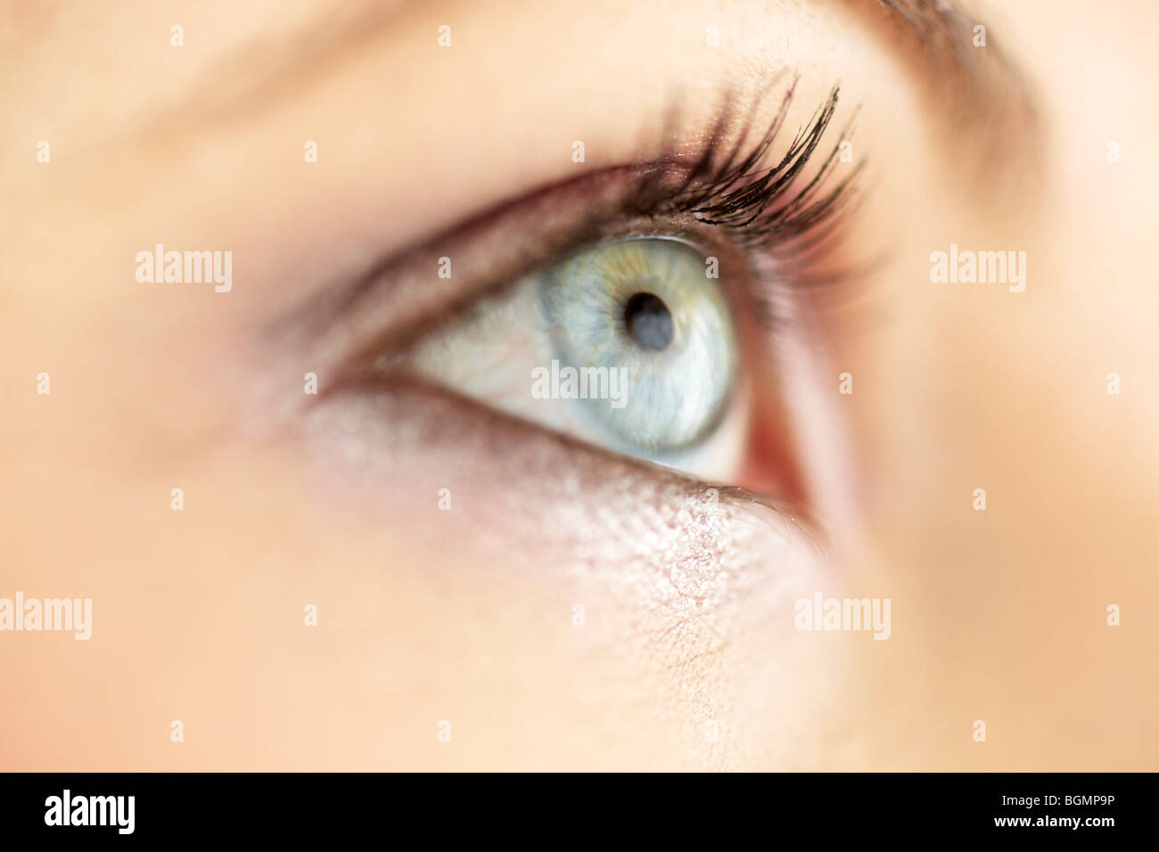 Nahaufnahme eines Womans Augen Stockfoto