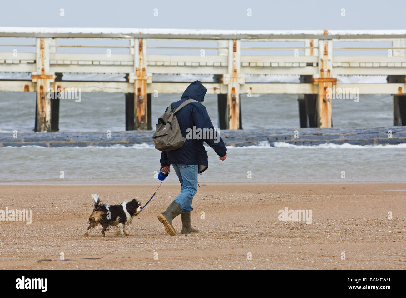 Mann mit Hund am Strand bei Sturm, Ostende, Belgien Stockfotografie - Alamy