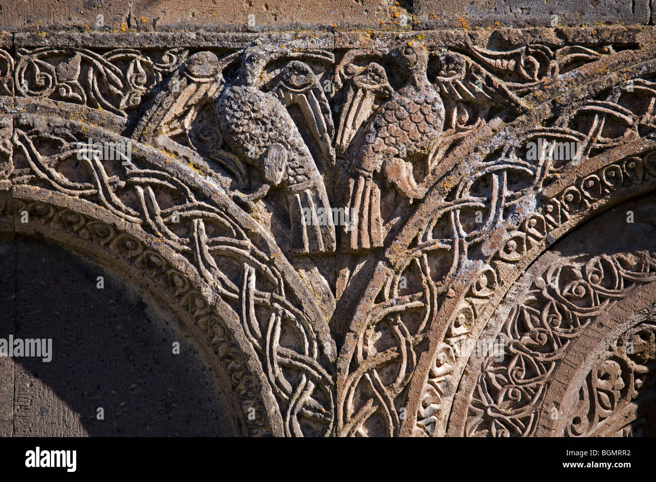 Vogel-Details auf Ruinen der mittelalterlichen armenischen Stadt von Ani-Kars-Türkei Stockfoto