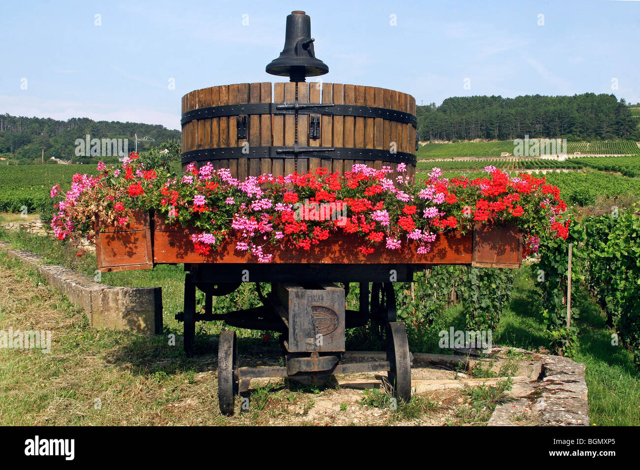 Alten Kelter und Weinberge in Beaune, Burgund, Frankreich Stockfoto