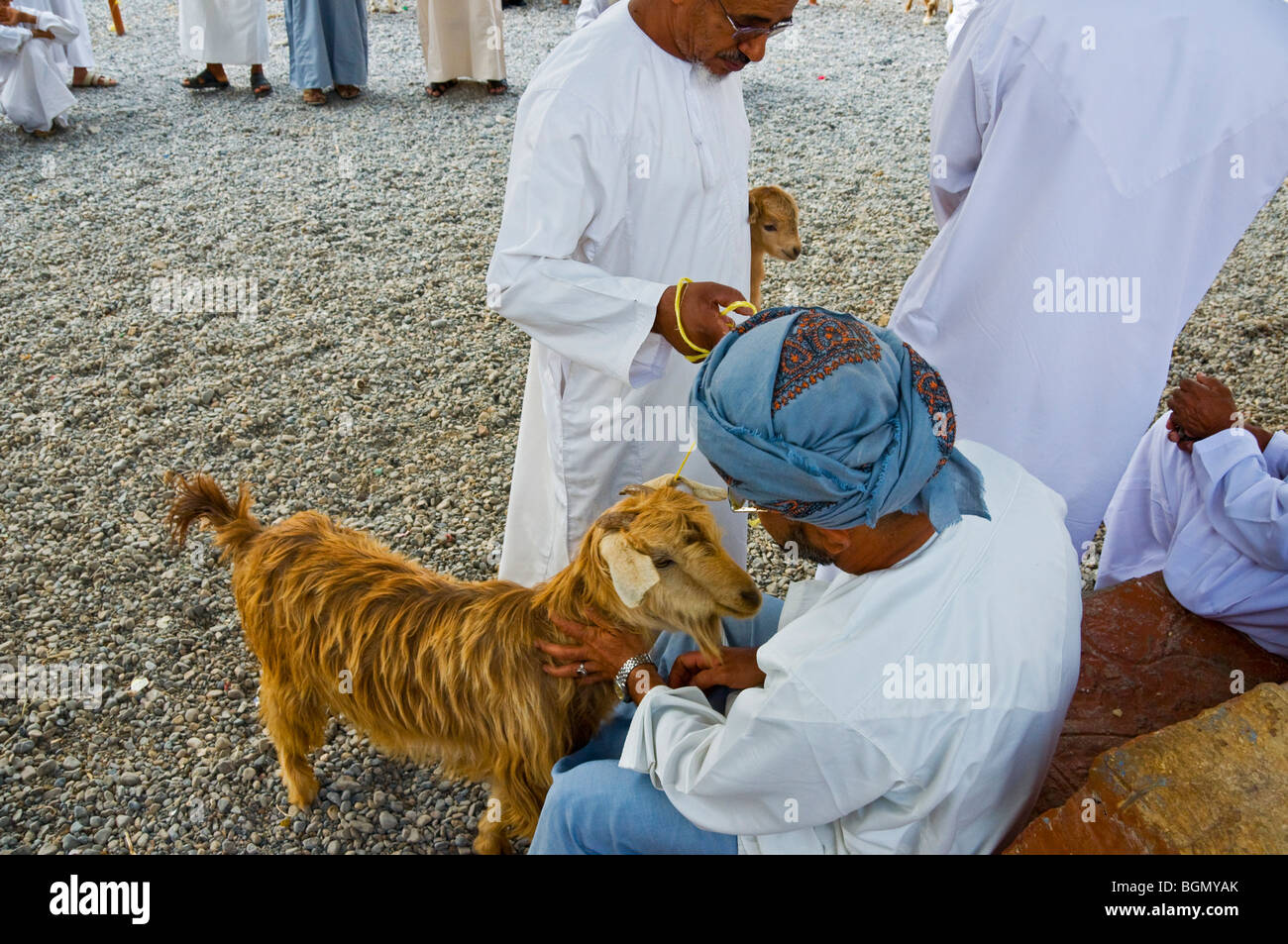 Die Ziege Markt Nizwa Sultanat von Oman Stockfoto