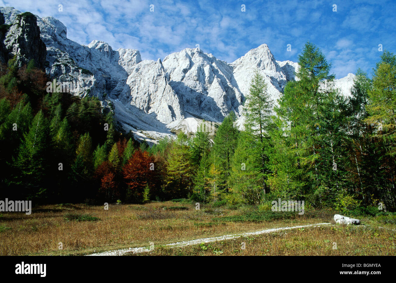 Okreslju über Logarska Dolina in den Kamnisko-Savinjske Alpen, Steiermark, Slowenien. Stockfoto