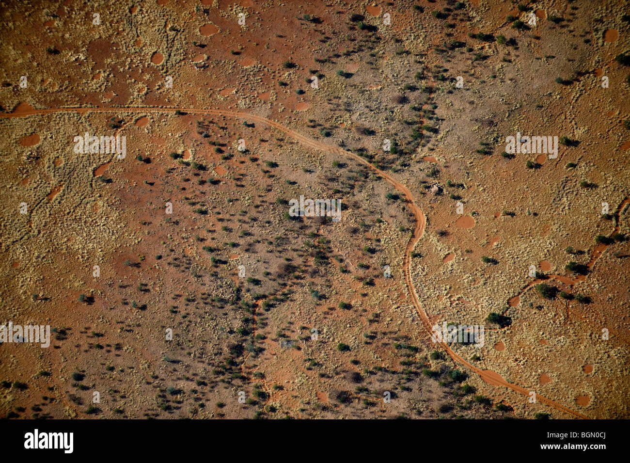 Luftaufnahme der Fee Kreise, Kaokoland, Norden Namibias Stockfoto