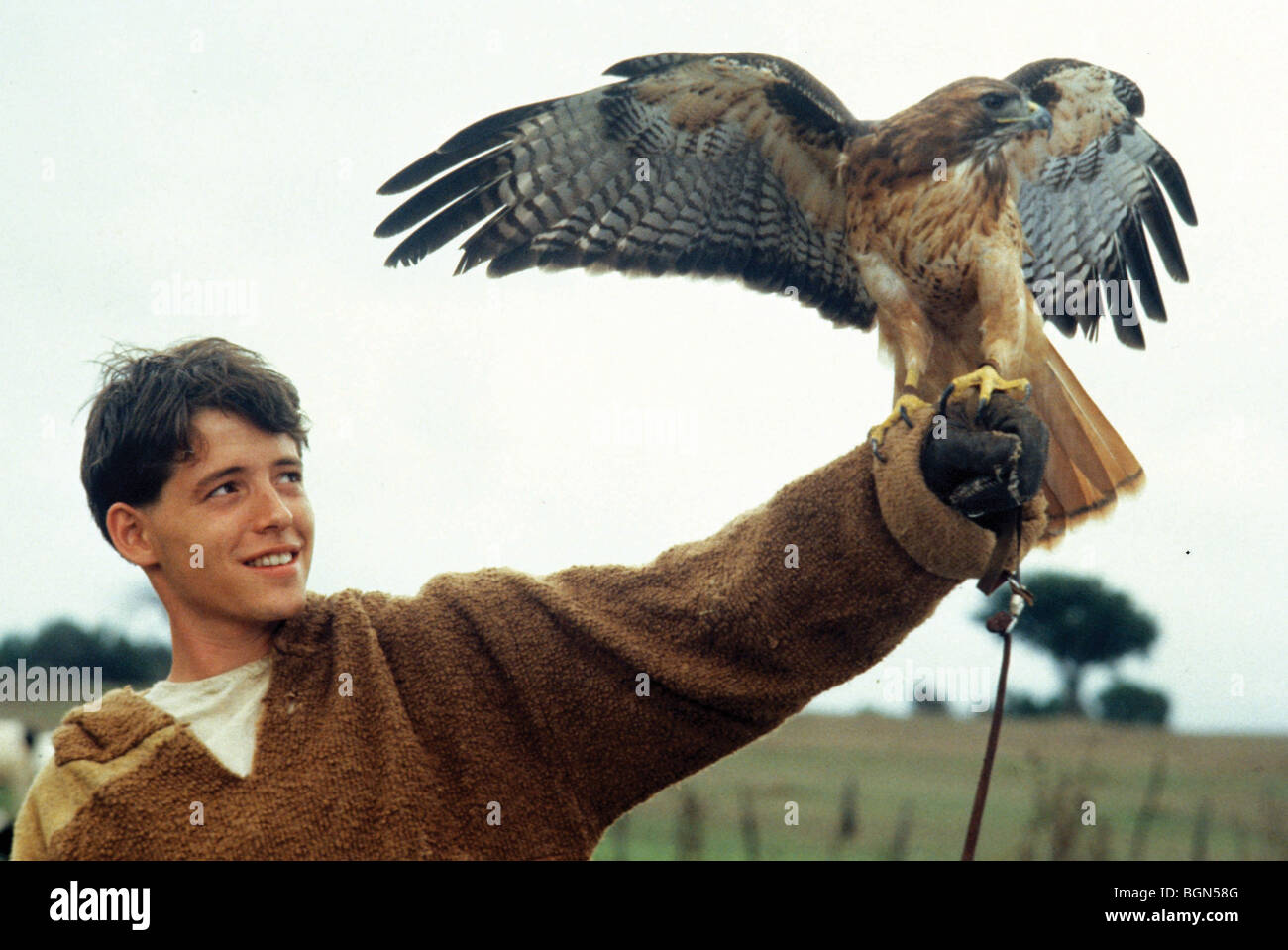 Ladyhawke-Jahr: 1985 Direktor: Richard Donner Matthew Broderick Stockfoto