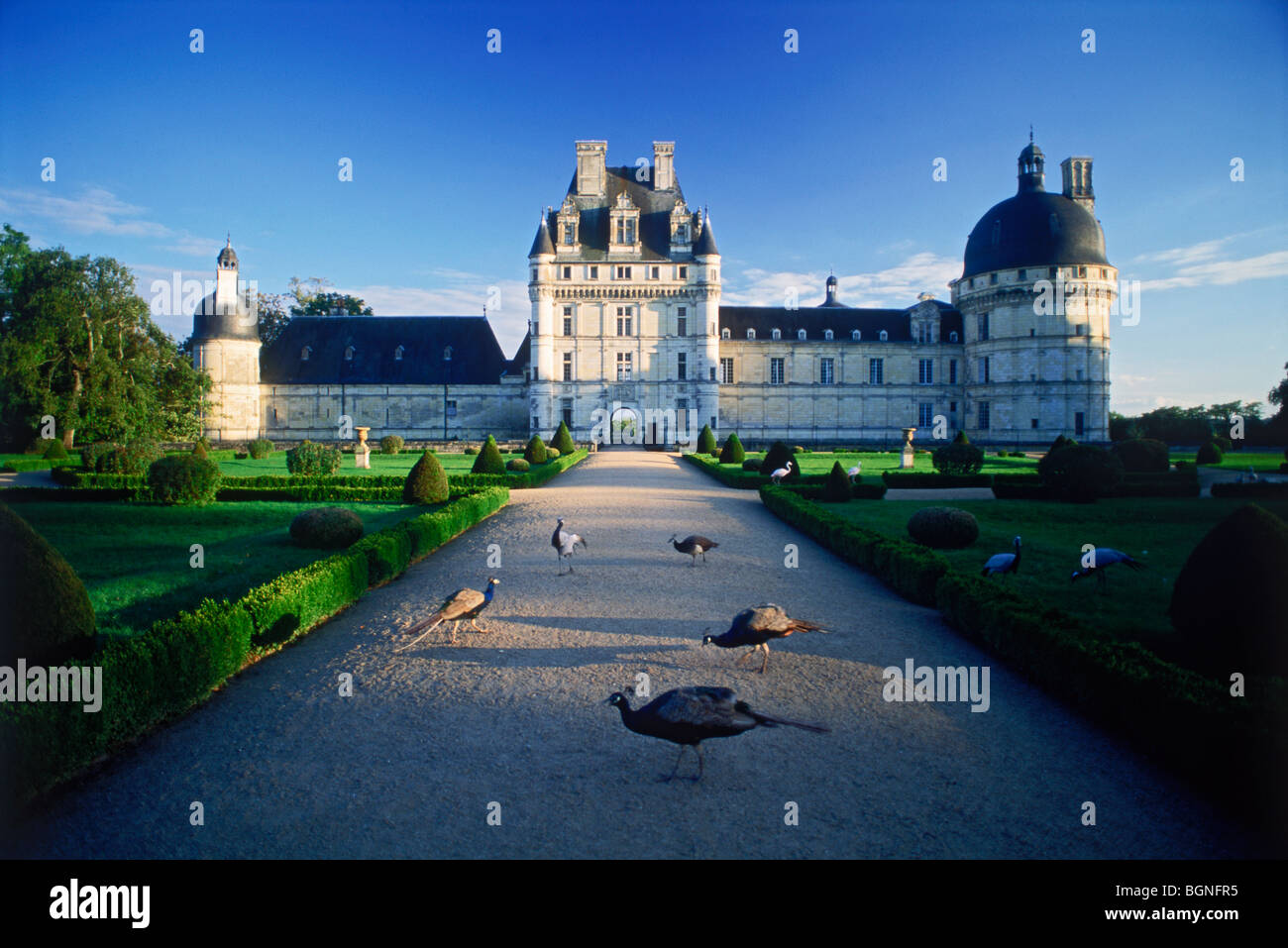 Renaissance Chateau de Valencay mit Pfauen im Loire Tal von Frankreich Stockfoto
